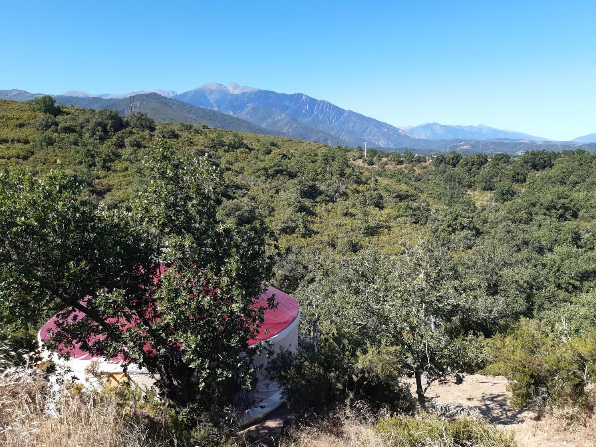 Yourte Contemporaine Avec Magnifique Vue Sur Les Montagnes Rigarda Exterior foto